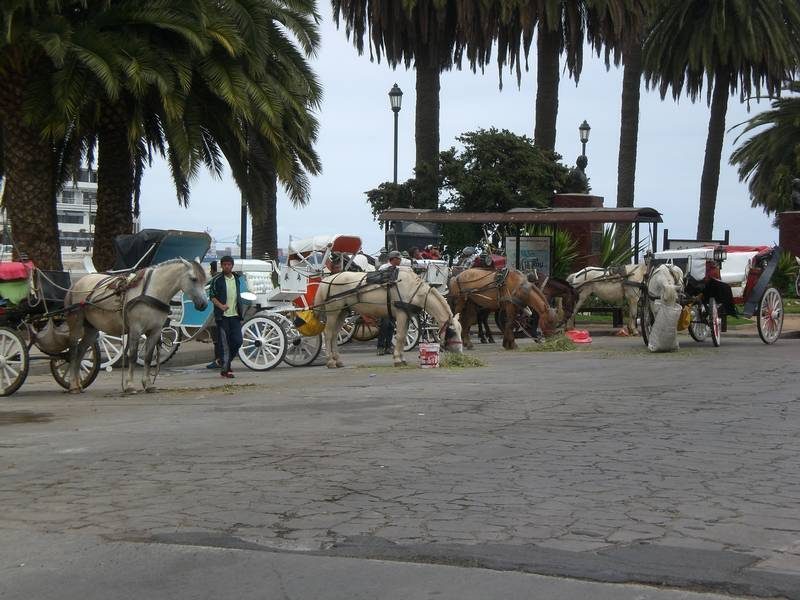 2012_12_18_17_01_00_1_800