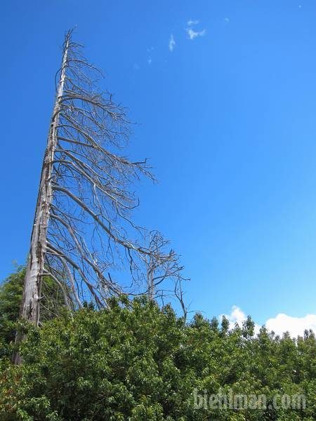 2012_12_20_15_27_00_800