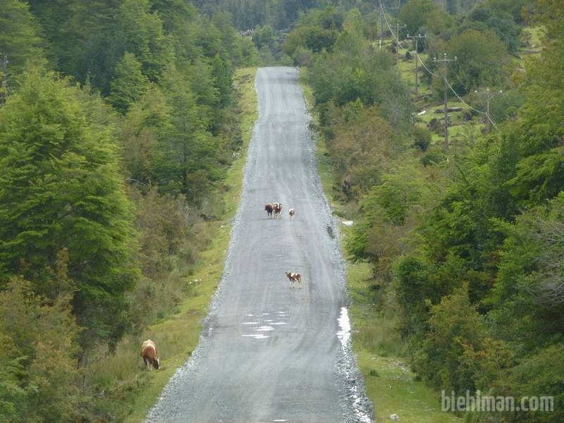 2012_12_22_19_11_00_2_800