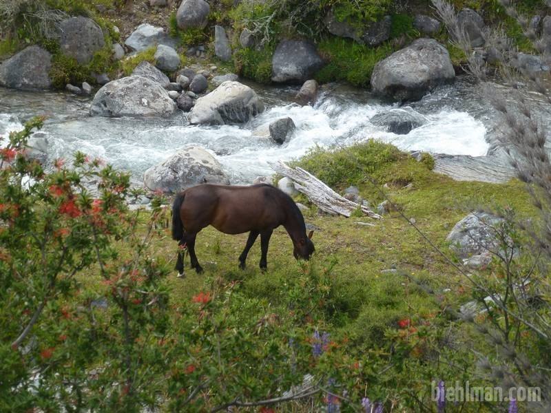 2012_12_23_16_58_00_2_800