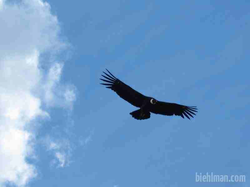 2012_12_25_12_18_00_1_800