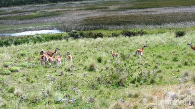 2012_12_25_13_05_00_1_800