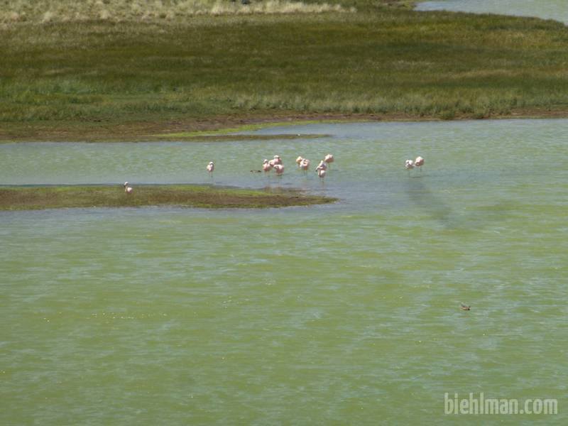 2012_12_25_14_29_00_1_800