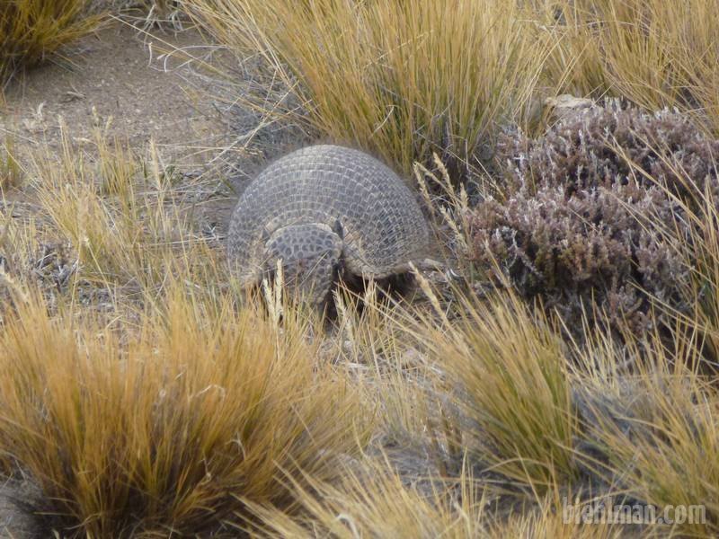 2012_12_25_15_54_00_2_800