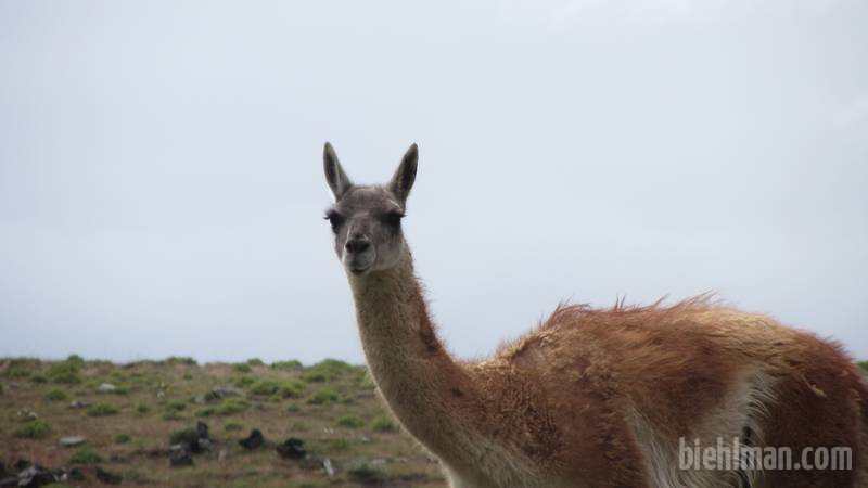 2012_12_28_16_59_00_1_800