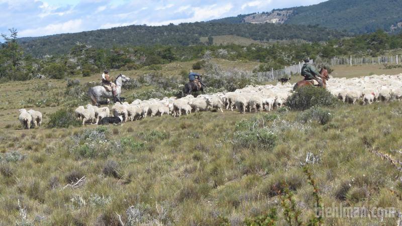 2012_12_29_13_11_00_800