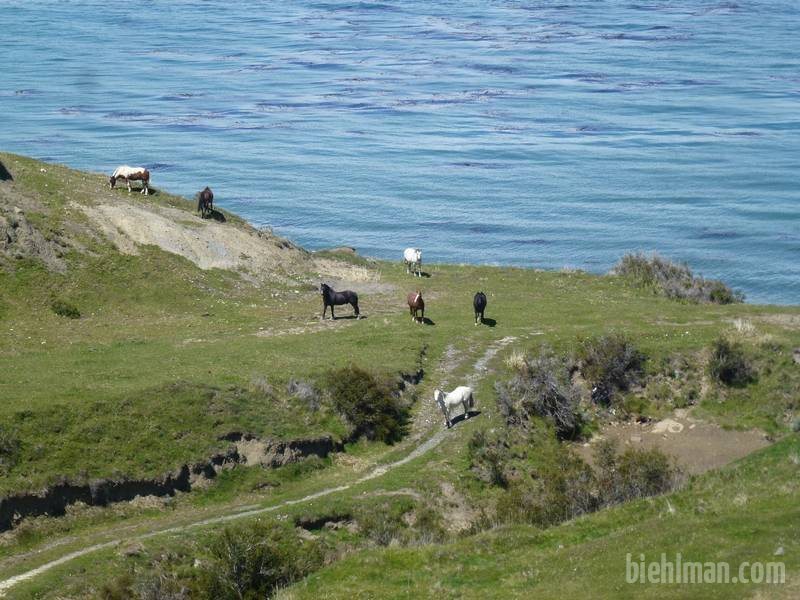 2012_12_30_13_30_00_1_800