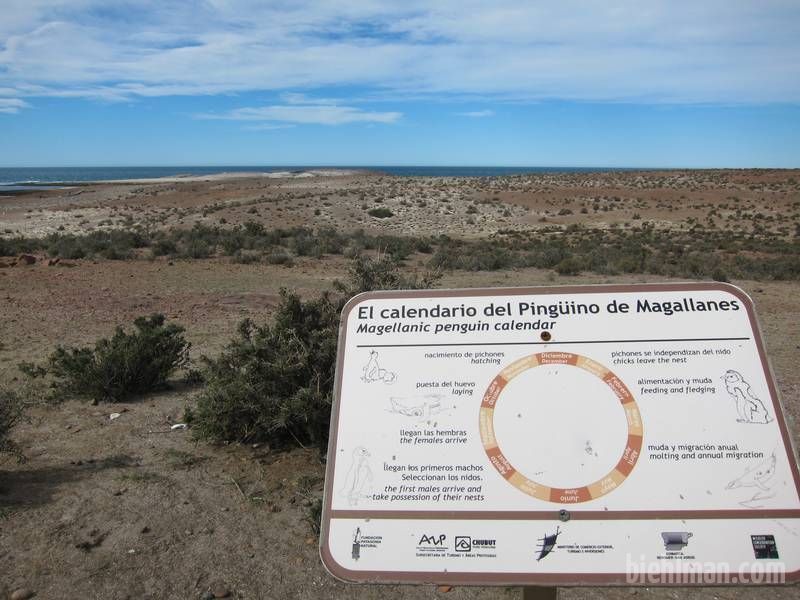 2013_01_05_16_35_00_800