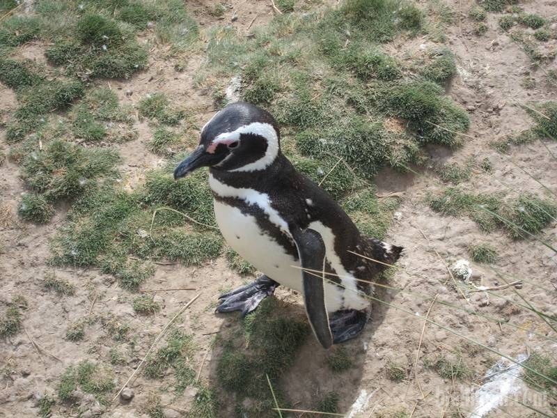 2013_01_05_16_42_00_000_800