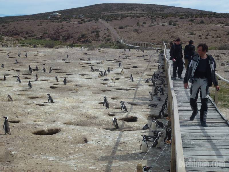 2013_01_05_16_48_00_800