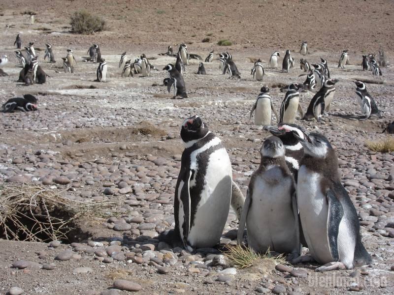 2013_01_05_16_54_00_3_800