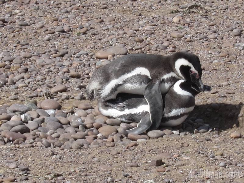 2013_01_05_16_54_00_800