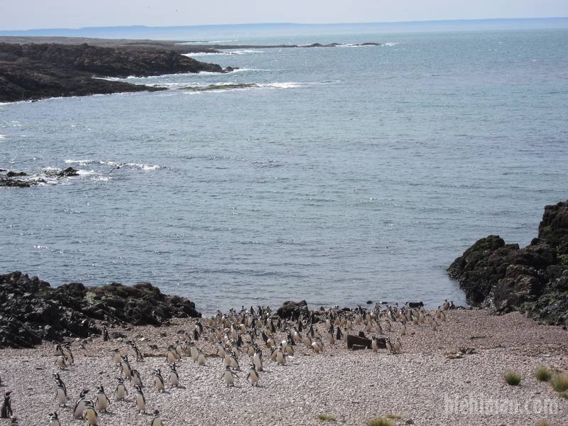 2013_01_05_16_56_00_1_800