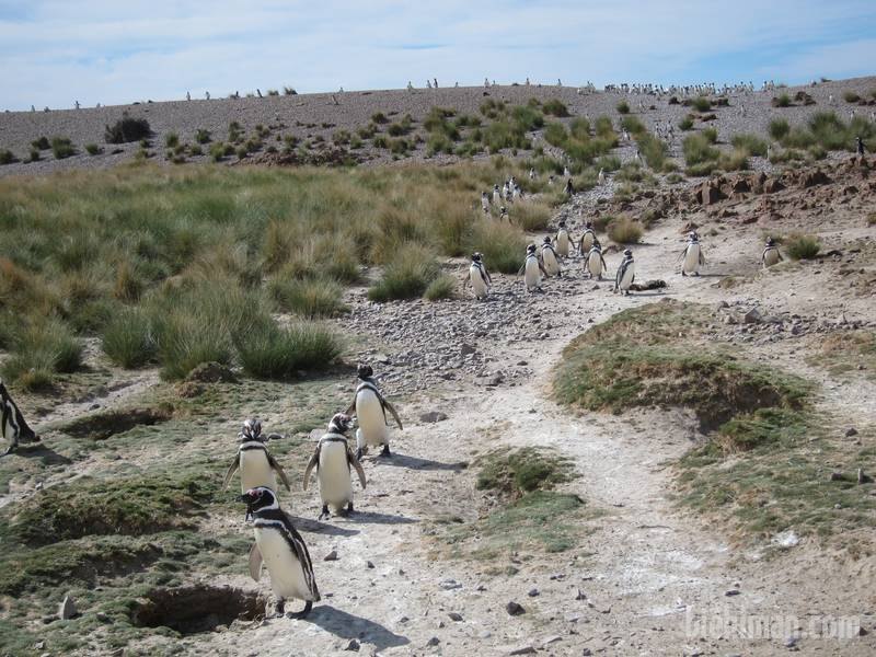 2013_01_05_17_10_00_000_800