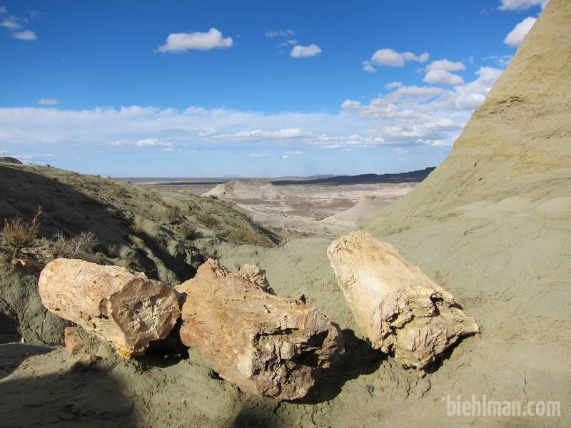 2013_01_06_18_29_00_000_800