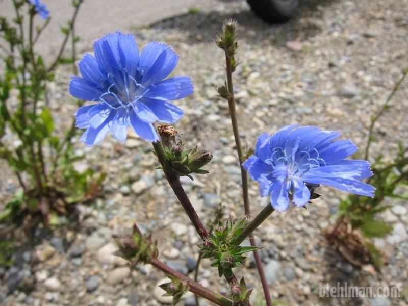 2013_01_07_13_59_00_2_800