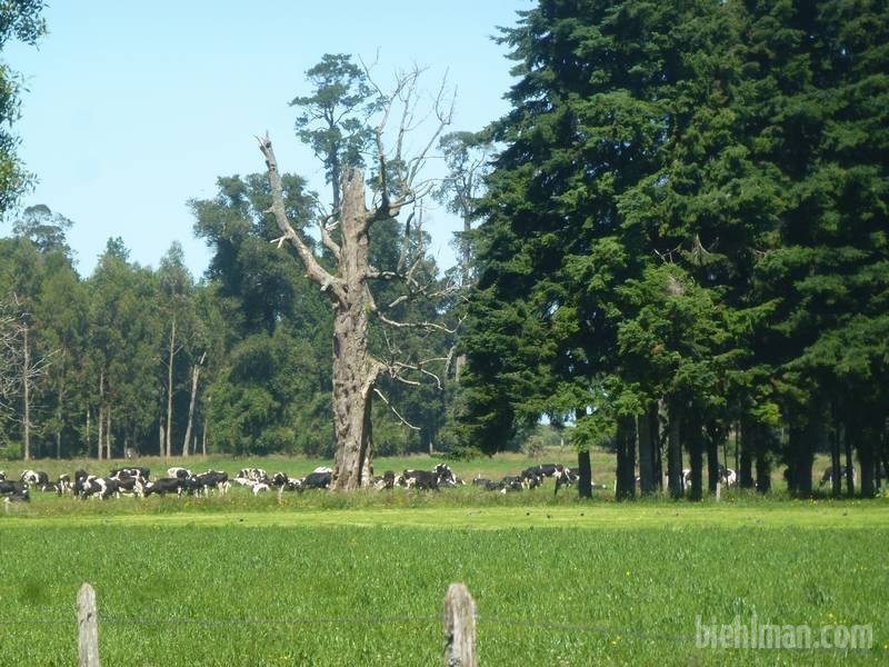 2013_01_10_11_59_00_1_800